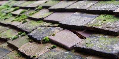 Southcote roof repair costs